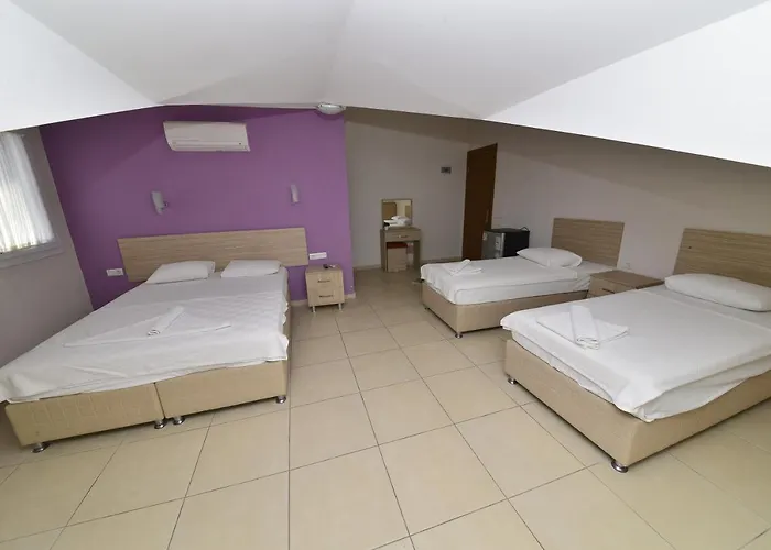 Mut 3* フェティエ